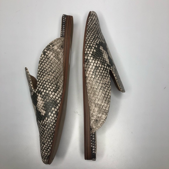 Dolce Vita Bree Snake Embossed Mule - Picture 7 of 9